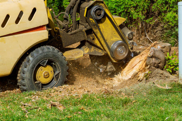  Roland, AR Tree Service Pros